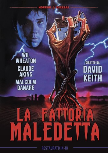 Dvd nuovo fattoria maledetta - fattoria,